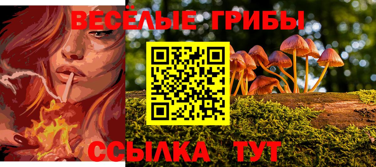 Галлюциногенные грибы Psilocybine cubensis  Вход с VPN  Сегежа 
