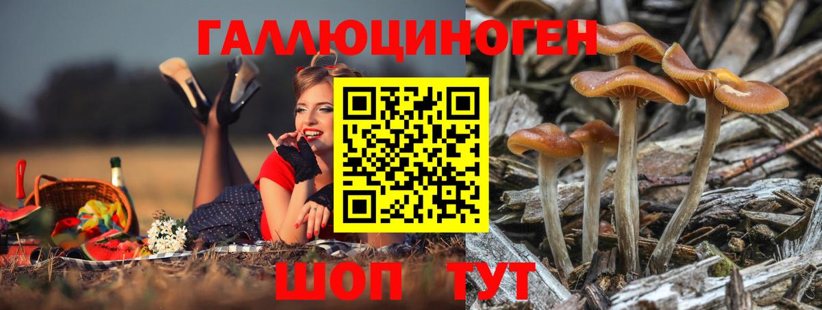 Псилоцибиновые грибы мухоморы Сегежа